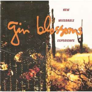  Gin Blossoms New Miserable Experience (1st Release 