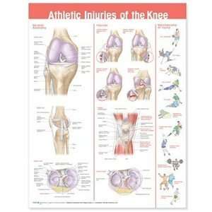  Athletic Injuries of the Knee