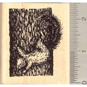  Tree Climbing Squirrel Rubber Stamp: Arts, Crafts & Sewing