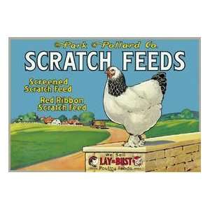  TIN SIGN Scratch Feeds: Sports & Outdoors