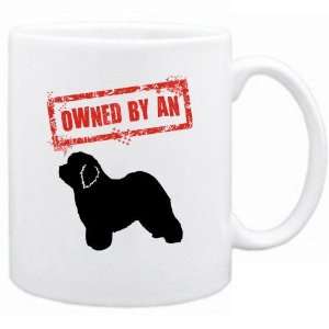  New  Owned By Old English Sheepdogs  Mug Dog: Home 