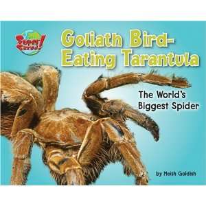  Goliath Bird Eating Tarantula: The Worlds Biggest Spider 