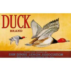 DUCK BRAND SAN DIMAS LEMON ASSOCIATION CALIFORNIA USA POSTER ON CANVAS 