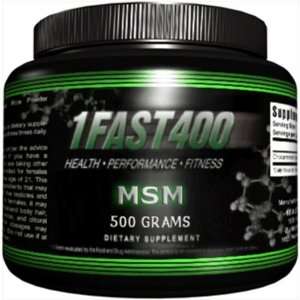  1Fast400 MSM Powder, 500 Grams: Health & Personal Care