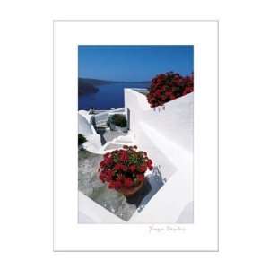  Yiorgos Depollas   Red Geraniums Canvas: Home & Kitchen