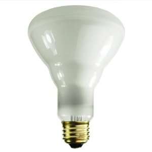  Light Bulb   BR30   Spot   2000 Life Hours   620 Lumens   120 Volt