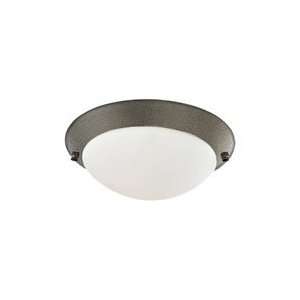  1648 782   SeaGull Lighting Ceiling Fan Light Kit: Home 