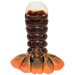 Lobster Gram TR5T8 EIGHT 5 6 OZ TRISTAN LOBSTER TAILS  