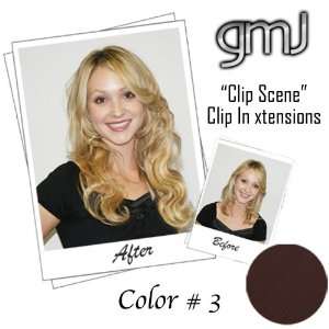  Clip in Extensions Clip Scene Casual (16 18 Color #3 