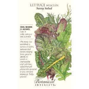  Lettuce Mesclun Sassy Salad Seed: Patio, Lawn & Garden