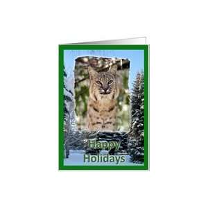  Bobcat Christmas Greeting Card Card: Health & Personal 