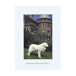  Great Pyrenees Tri Fold Blank Card: Everything Else