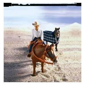 Schleich Western Riding Set with Horse: Toys & Games