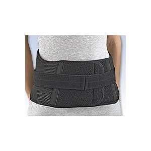  FLA ProLite Mesh LOC Lumbar Support: Health & Personal 