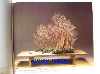 Exhibition of Kokufu Bonsai 55 /Japanese Photo Book/219  