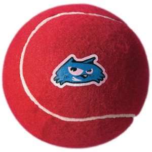  Neutron Tennis Ball Large Red 6: Pet Supplies