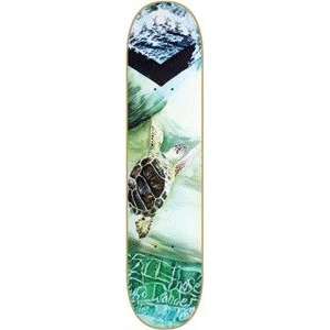 Consolidated Steve Bailey Turtle Skateboard Deck   8 x 32  