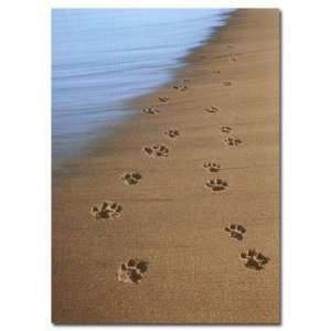  Paw Prints Left on Beach Sympathy Card Health & Personal 