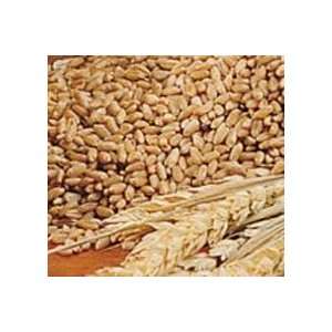 Hard Red Wheat, 5 Lb Bag Biologically Grown Non GMO Whole grain 