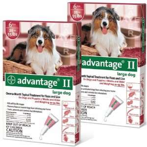  12 MONTH Advantage II Flea Control Large Dog (for Dogs 21 