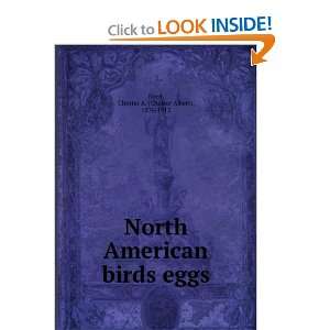  North American birds eggs, Chester A. Reed Books