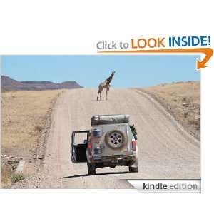 Safari Where to go and how to get there Jungle Jack  