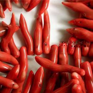   RED ORANGE SPONGE CORAL LG CHILI PEPPER BRANCH BEADS: Office Products