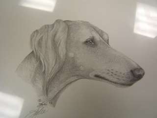 Dog Print Saluki pencil sketch hand signed 2003 (jd)  