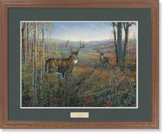 Sam Timm Rut and Strut Framed Whitetail Deer  
