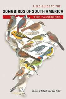   Birds of Costa Rica A Field Guide by Carrol L 