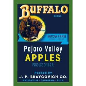  Exclusive By Buyenlarge Buffalo Brand Apples 12x18 Giclee 