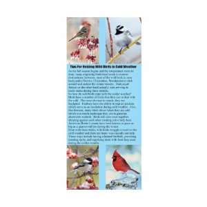   for Helping Wild Birds in Cold Weather   Quick Resource of Information