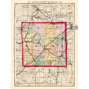  EATON COUNTY MICHIGAN (MI) MAP 1873: Home & Kitchen