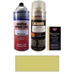   Metallic Spray Can Paint Kit for 2000 Nissan Skyline (CR0): Automotive