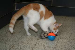 WEAZEL WEASEL BALL Cat Dog Pet Toy (NEW)  