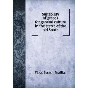   culture in the states of the old South Floyd Burton Bralliar Books