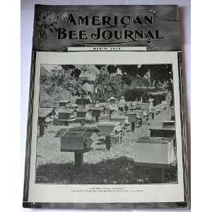  American Bee Journal March 1919 (Building Up Colonies in 
