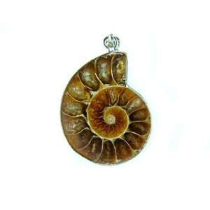  PE0120 Madagascar Ammonite Fossil Crystal Pendant Jewelry