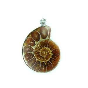  PE0150 Madagascar Ammonite Fossil Crystal Pendant Jewelry