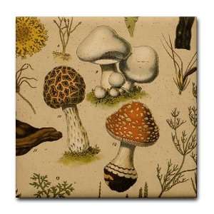  Antique Botanical  Mushrooms Art Tile Coaster by CafePress 