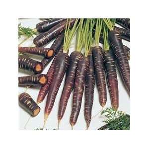  Purple Haze Carrot Seeds 100+ By Hinterland Trading Patio 