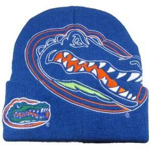    Florida Gators Royal Blue Logo Hype Knit Beanie