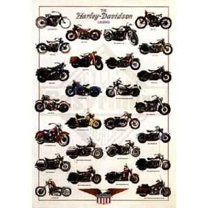 Libero Patrignani: 26W by 38H : The Harley Davidson legend CANVAS 