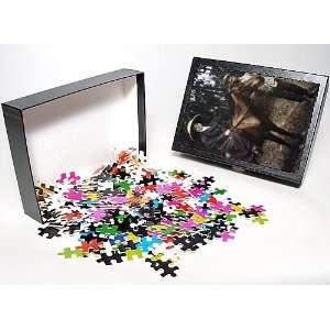   Puzzle of ALEXANDRA DAVID N from Granger Art on Demand: Toys & Games