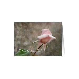 Hazel Birthday   Pink Rose Bud Card: Health & Personal 