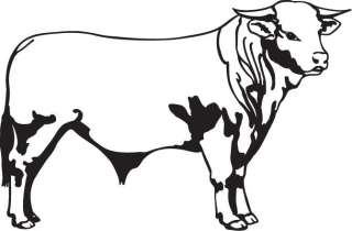Western Angus Bull Style Decal 6 x 9  