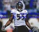 TERRELL SUGGS BALTIMORE RAVENS NFL OFFICIAL LICENSED 8X