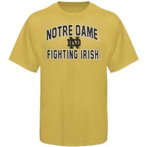  NCAA Notre Dame Fighting Irish Youth Campus Pride T Shirt 