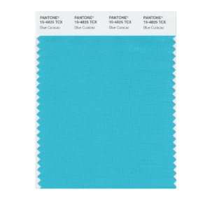   SMART 15 4825X Color Swatch Card, Blue Curacao: Home Improvement