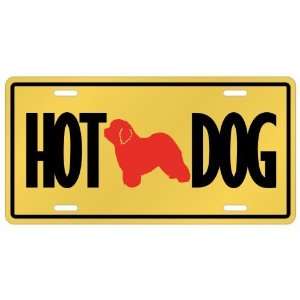  New  Old English Sheepdogs   Hot Dog  License Plate Dog 